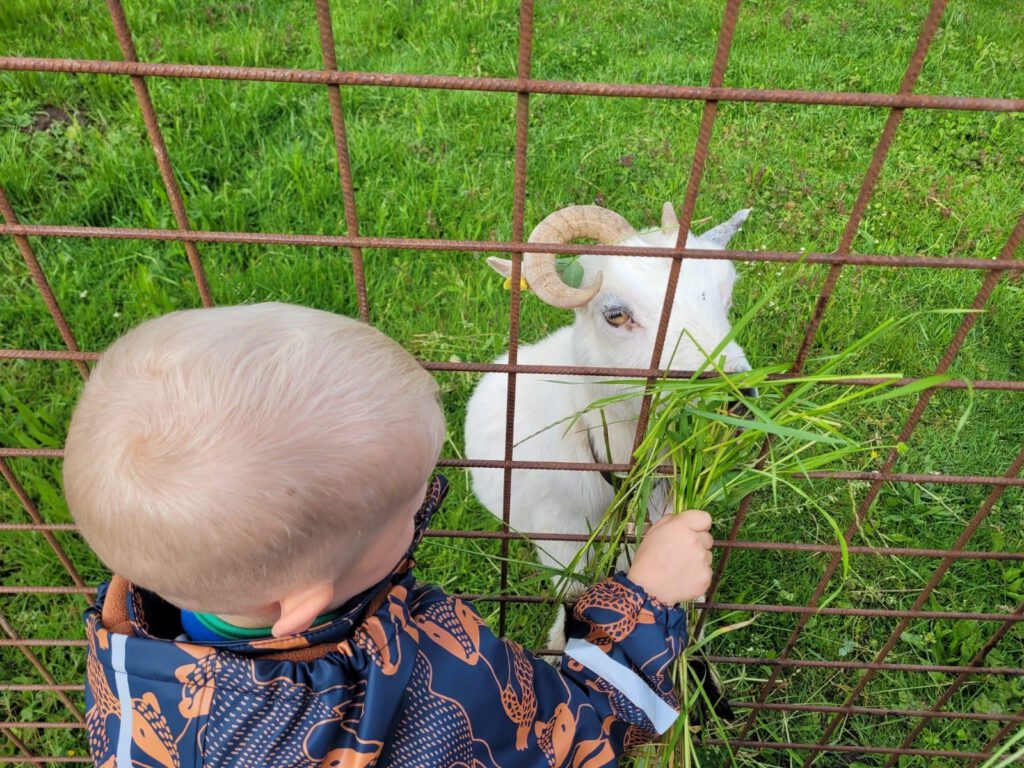 WhatsApp Image 2025-06-12 at 13.49.29